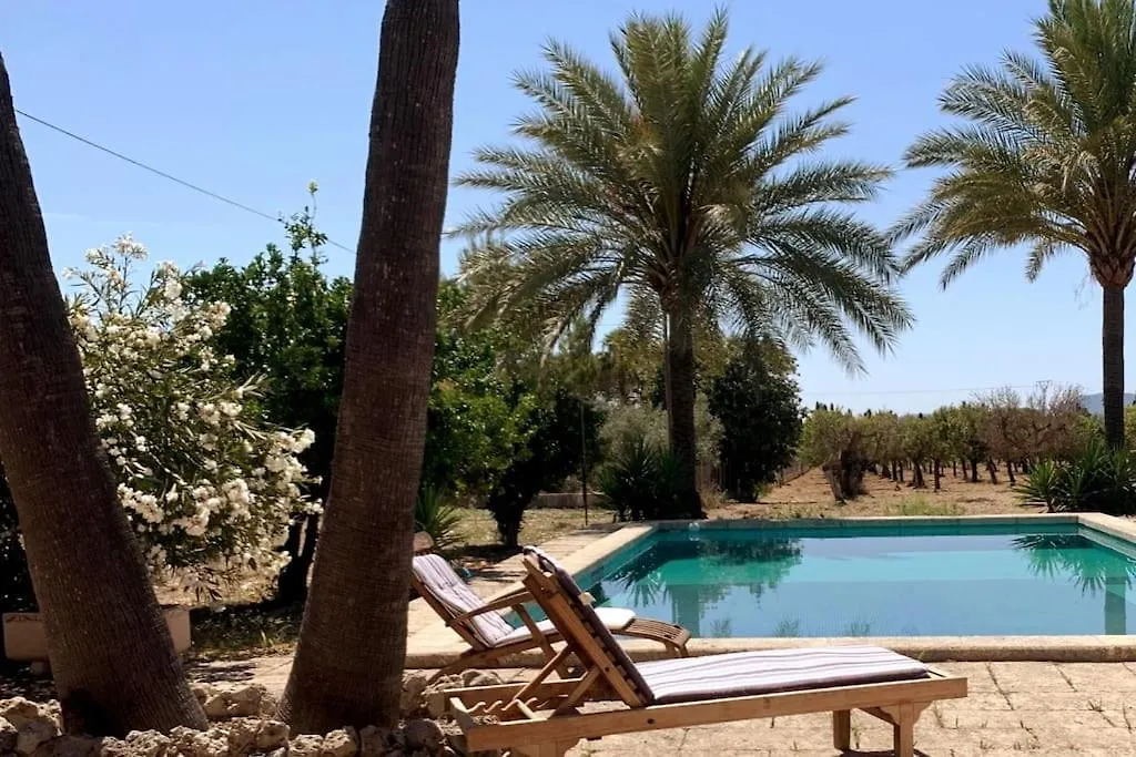 Σπίτι διακοπών Finca Sa Terra Grossa Binissalem Ballerics
