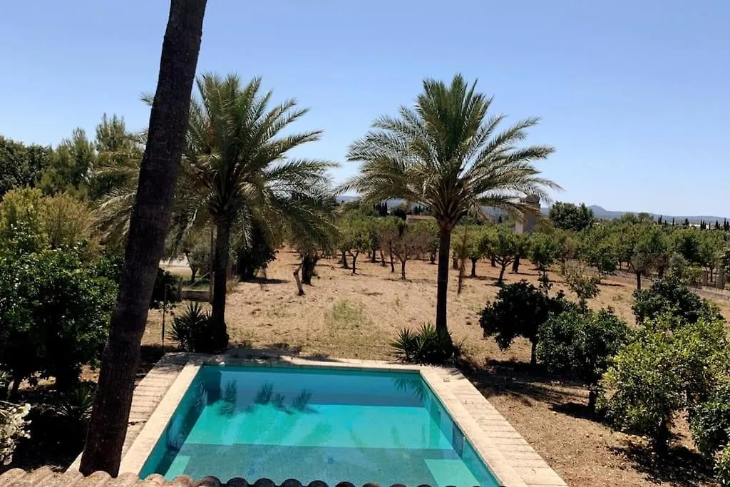 Finca Sa Terra Grossa Binissalem Ballerics Σπίτι διακοπών